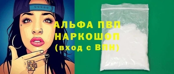 ECSTASY Белокуриха